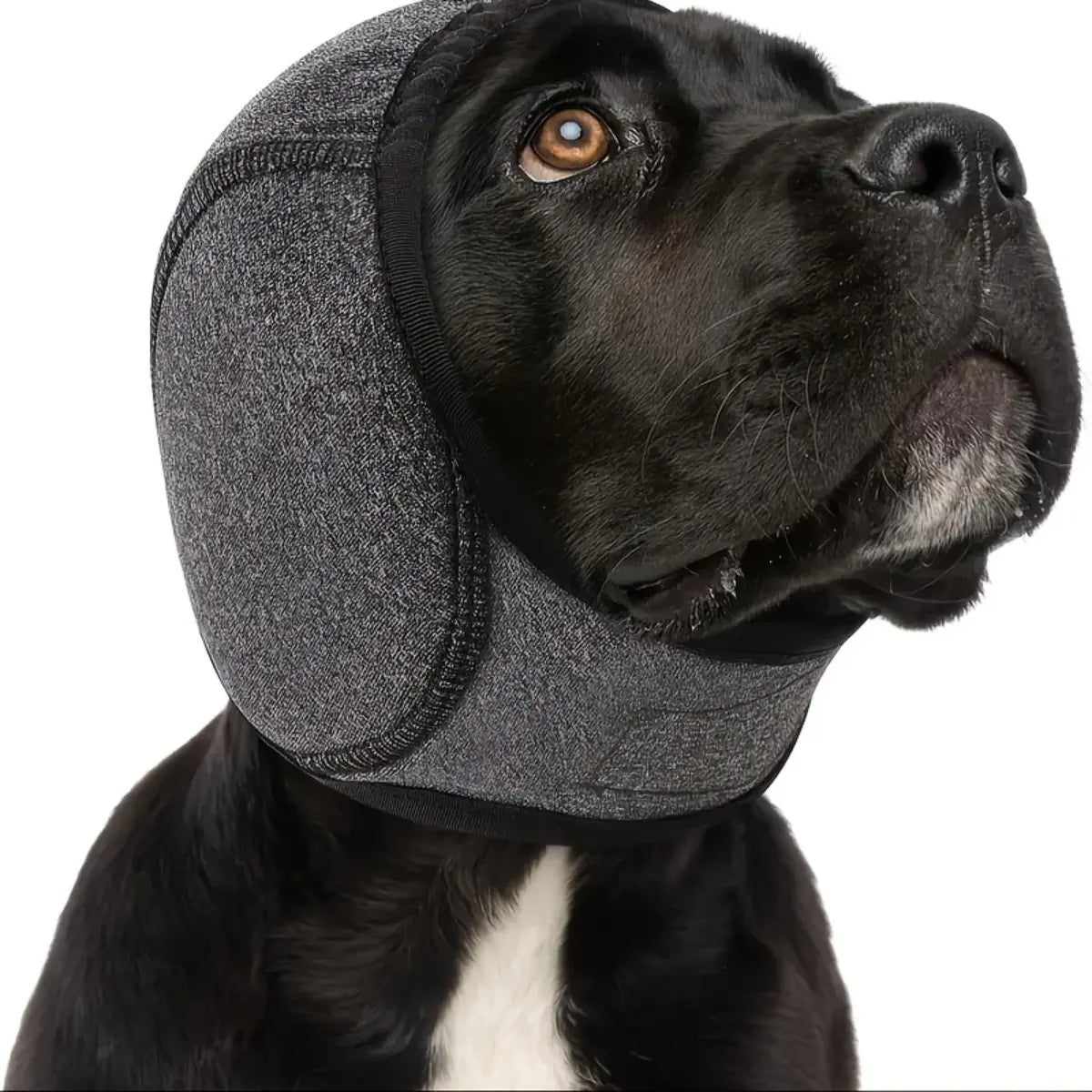 Professional Noise-Canceling Dog Ear Muffs - for Swimming/Thunderstorms/Vet Visits | Breathable Memory Foam, Puppy to Adult Dogs | Anxiety Relief & Secure Fit